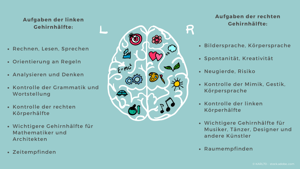 Die beiden Gehirnhälften haben unterschiedliche Aufgaben. | | | | © Eigene Darstellung Infografik der Funktionen der linken und rechten Gehirnhälfte. Links: Sprache, Analyse, Grammatik, Zeitgefühl. Rechts: Kreativität, Körpersprache, Mimik. Symbolische Illustrationen innerhalb des Gehirns für jede Funktion.