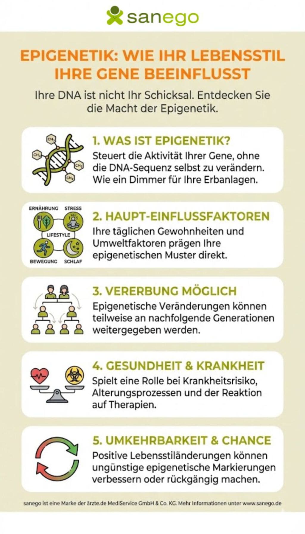 Diese Mach hat unsere Epigenetik | © Erstellt mit Google Gemini Übersicht über die Einflüsse der Gene auf den Lebensstil