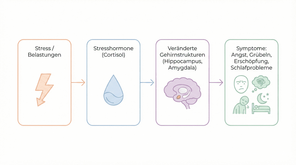 Infografik Einfluss von Stress auf das Gehirn und die mentale Gesundheit