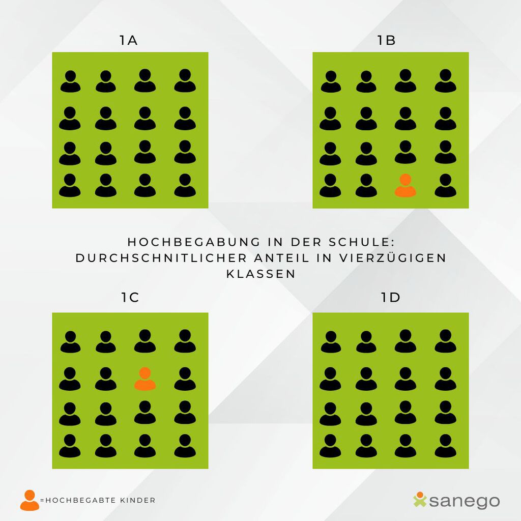 fff | © sanego Infograafik zur Hochbegabung: durchschnittlich gibt es zwei Hochbegabte in einem Jahrgang mit vier Klassen