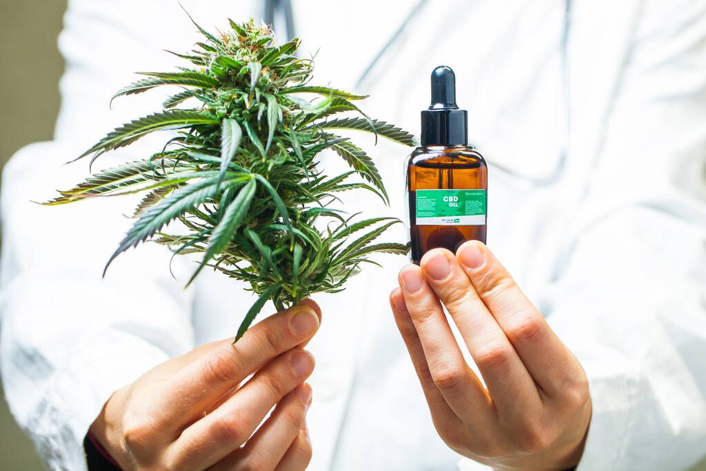 Ein Arzt in weißem Kittel und mit Stethoskop hält eine Cannabis Pflanze und CBD-Öl in den Händen.