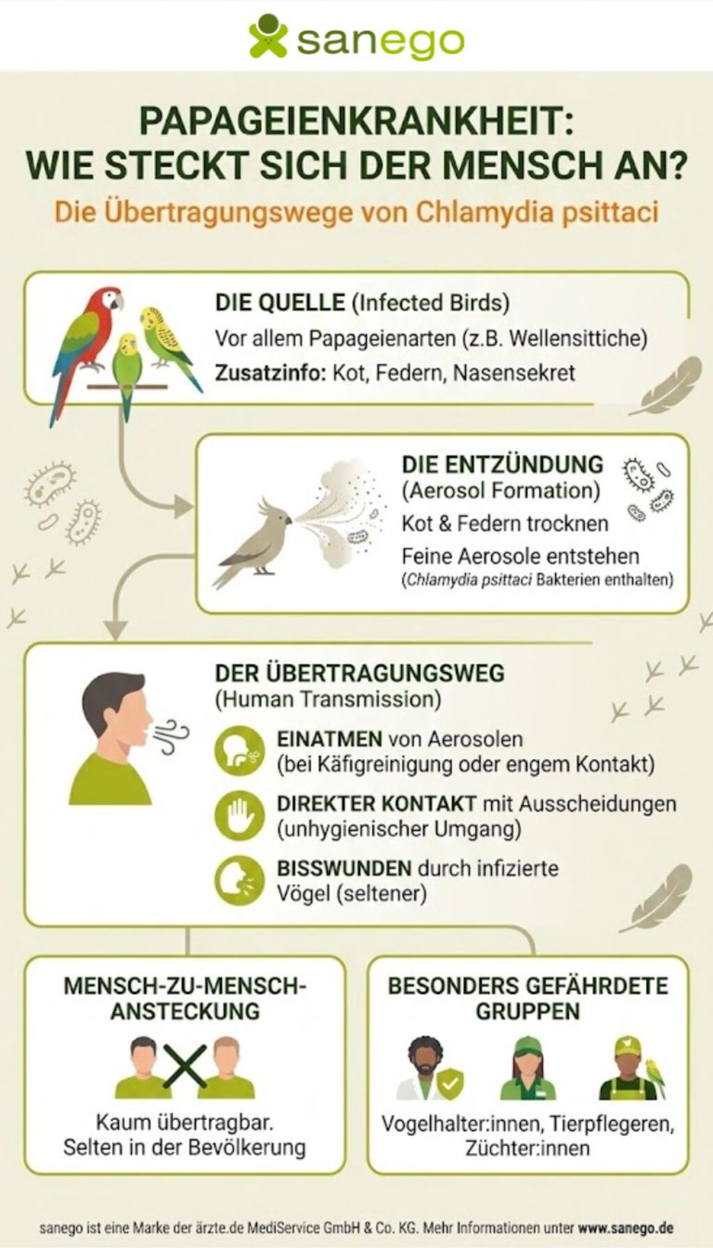 Was Sie über die Übertragung der Papageienkrankheit wissen sollten | © Erstellt mit Google Gemini Überblick über die Papageienkrankheit