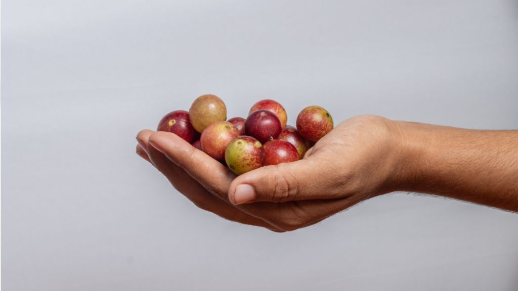 Eine Hand vor einem grauen Hintergrund formt eine Schale. Darin liegen viele rot, gelbe Früchte.