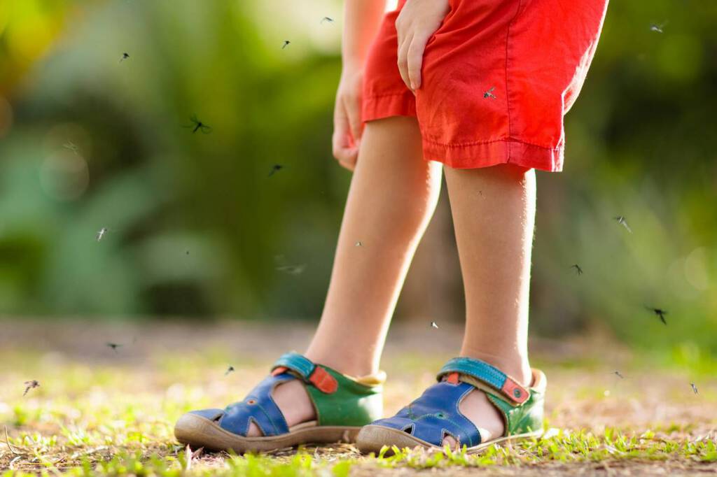 Kind steht mit bunten Sandalen auf einem Waldweg, umgeben von fliegenden Mücken – Gefahr eines Mückenstichs.