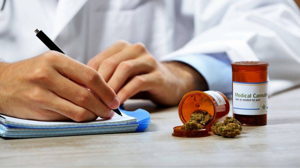 Ein Arzt sitzt an einem Tisch und macht sich Notizen. Vor ihm zwei Medikamenten-Dosen und eine Cannabis-Blüte.