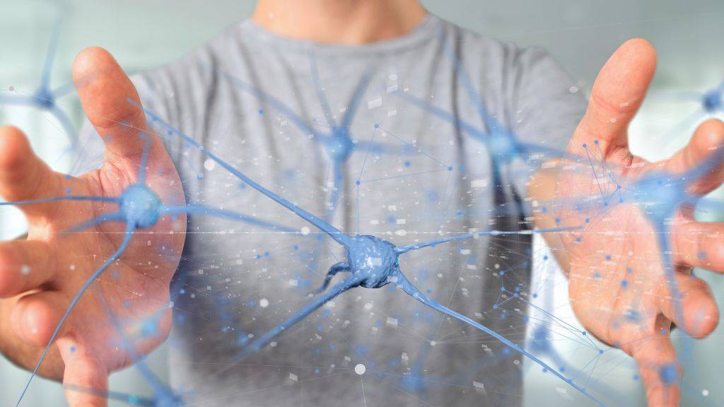 Ein Mann hält verschiedene Neuronen zwischen den Händen.