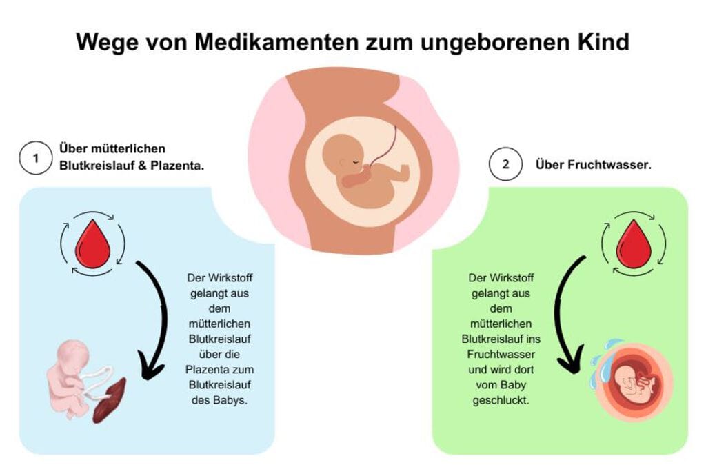 Wege der Medikamente zum ungeborenen Kind | © sanego.de Infografik: Auf diese Wege gelangen Medikamente zum ungeborenen Kind