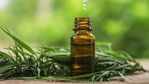CBD Öl und Fitness: Wie Cannabidiol das Training unterstützen kann